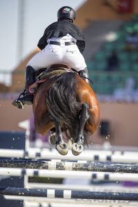 Rear view of person riding horse while jumping over rod at race