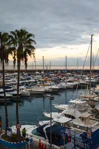 Boats moored in harbor at sunset