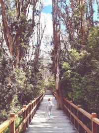 Woman on footbridge amidst trees