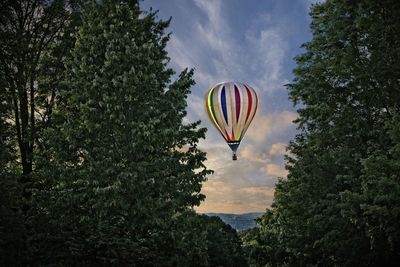 Hot air balloon flying over trees against sky