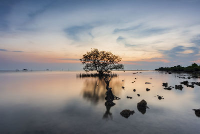 Scenic view of lake against sky during sunset