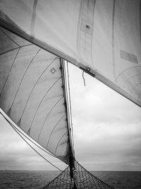 Sailboat sailing on sea against sky