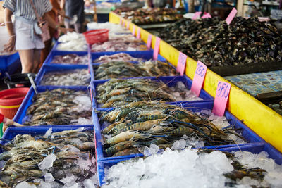 Lot of fresh seafood at the seafood market