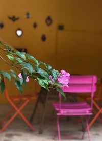 Close-up of pink flower vase on table