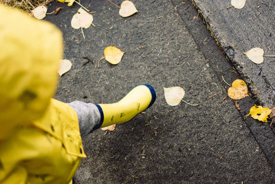 Low section of man standing on yellow autumn leaves