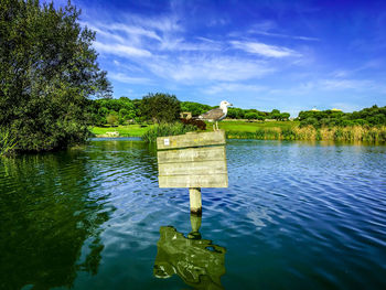 Bird perching on tree by river against sky