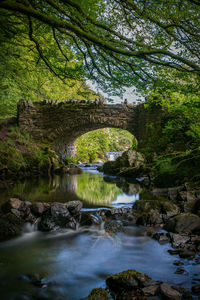 Arch bridge over river in forest