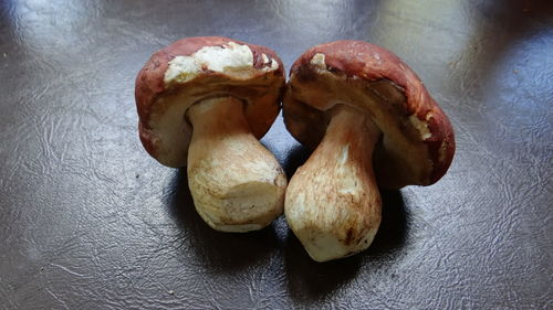 Close-up view of bread