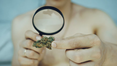 Midsection of man looking cannabis through magnifying glass