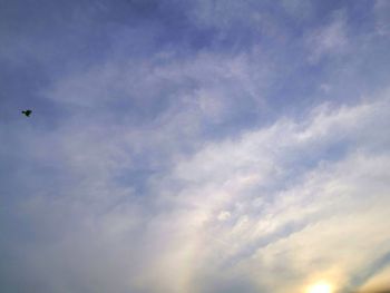 Low angle view of bird flying against sky