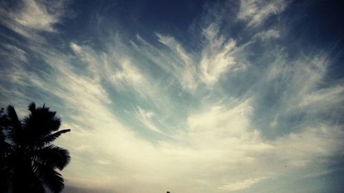 Low angle view of trees against cloudy sky