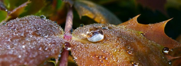 Close up of water
