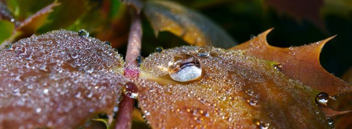 Close up of water