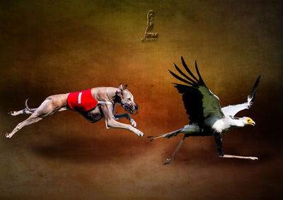 Painting of dog chasing bird