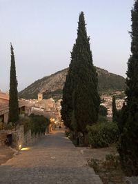 Footpath amidst trees and buildings against sky