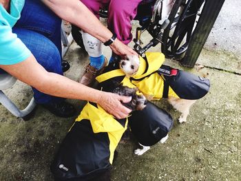 High angle view of people holding dog on street