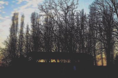 Silhouette trees in forest against sky