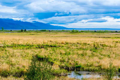 Scenic view of field against sky