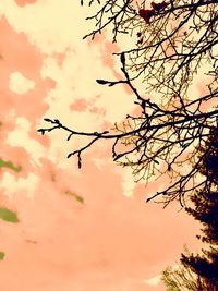 Low angle view of silhouette tree against sky at sunset