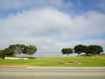 Trees on field by road against sky