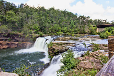 Scenic view of waterfall in forest