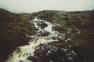Scenic view of trees against sky