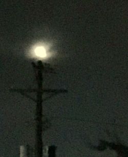 Low angle view of illuminated street light against sky at night