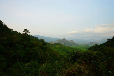 Scenic view of trees and mountains against sky