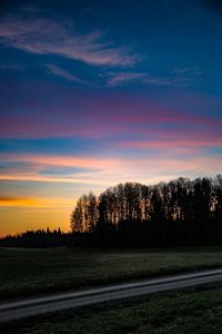 Silhouette trees on field against sky at sunset