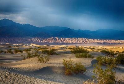 Scenic view of landscape and mountains against sky