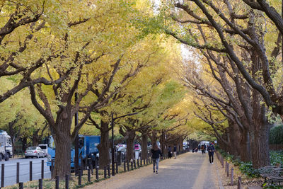People walking on footpath amidst trees in park during autumn