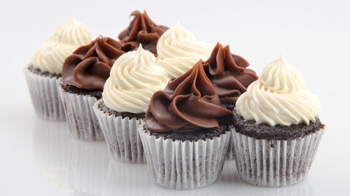 Miniature chocolate cupcakes with chocolate and vanilla topping