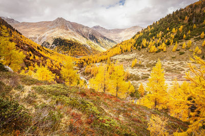 Scenic view of mountains against sky during autumn