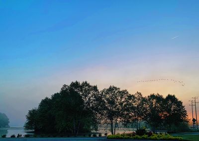 Silhouette trees on field against clear sky at sunset