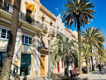 Low angle view of palm trees and buildings against sky