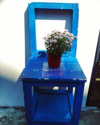 Low angle view of potted plants