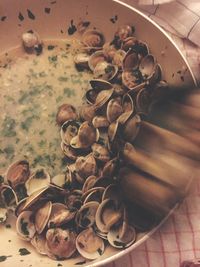 Close-up of food on wooden table