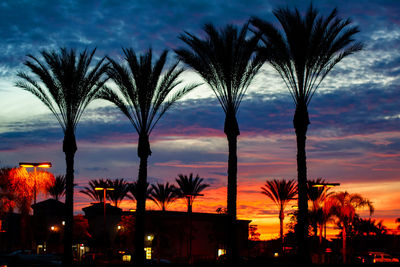 Silhouette palm trees against sky during sunset