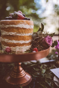 Close-up of cake in plate