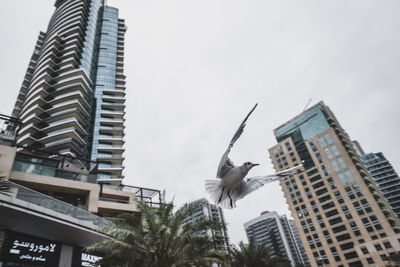 Low angle view of skyscrapers against sky