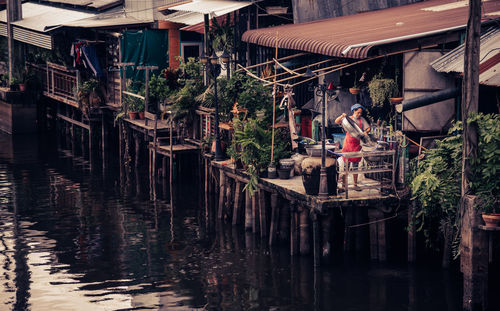 Plants growing by river against buildings in city