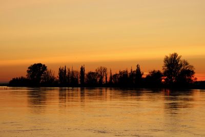 Silhouette trees by lake against orange sky