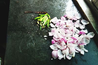 High angle view of pink flowers