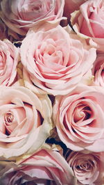 Close-up of rose bouquet