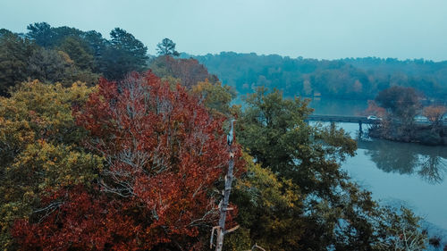 High angle view of trees in forest during autumn