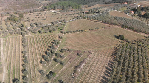 High angle view of agricultural field