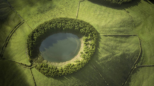 High angle view of hole in green leaf