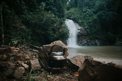 Scenic view of waterfall in forest
