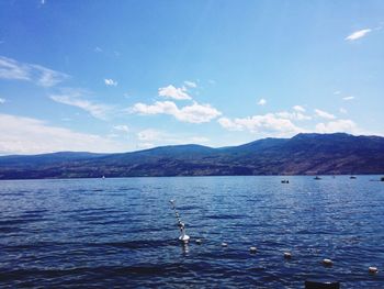 View of calm blue sea against the sky