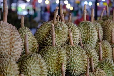 Close-up of durian for sale in market